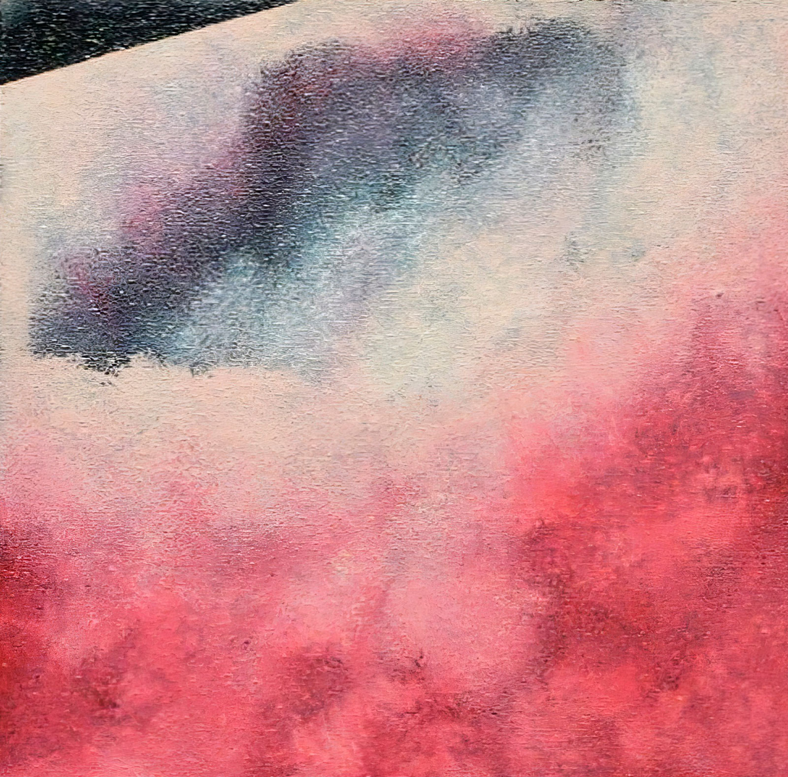 El silencio de la rosa